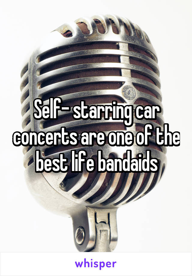 Self- starring car concerts are one of the best life bandaids