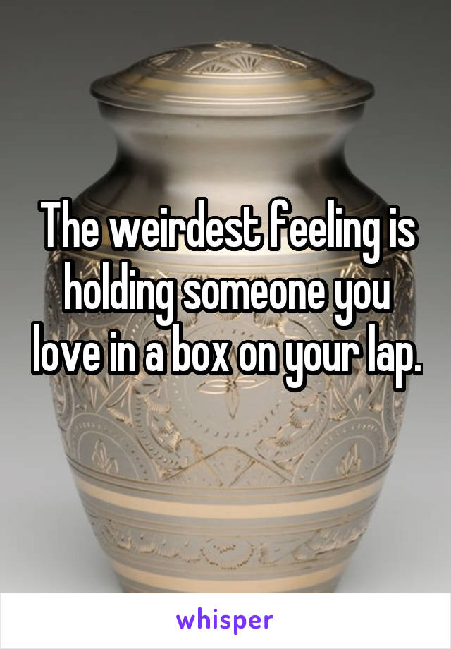 The weirdest feeling is holding someone you love in a box on your lap.
