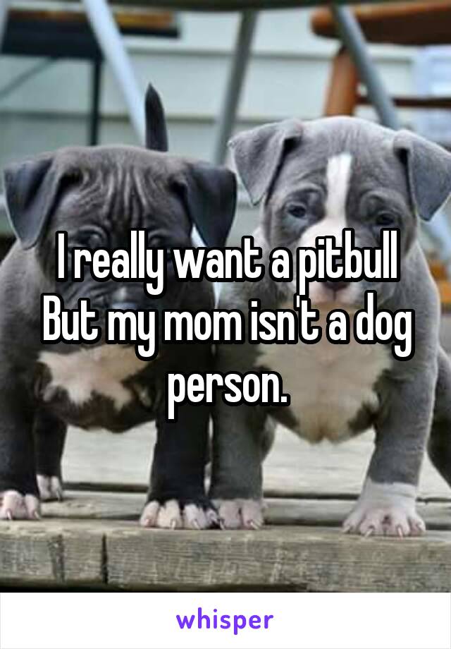 I really want a pitbull
But my mom isn't a dog person.