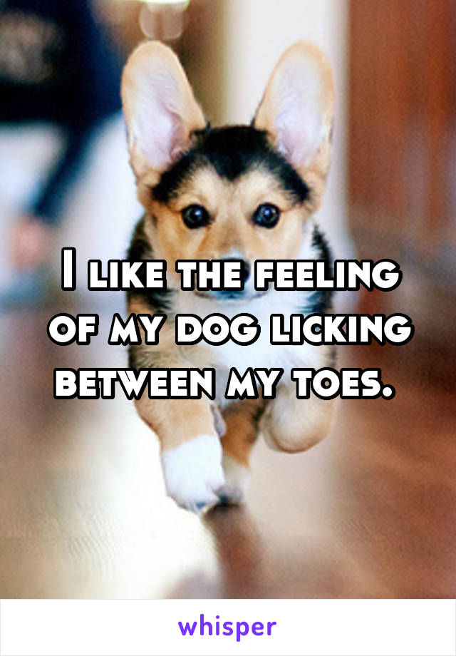 I like the feeling of my dog licking between my toes. 