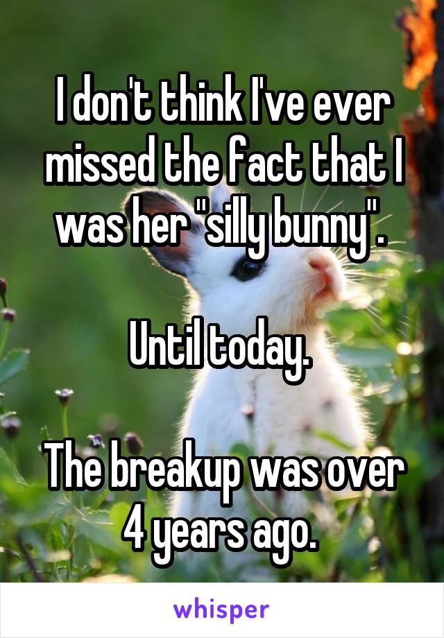 I don't think I've ever missed the fact that I was her "silly bunny". 

Until today. 

The breakup was over 4 years ago. 