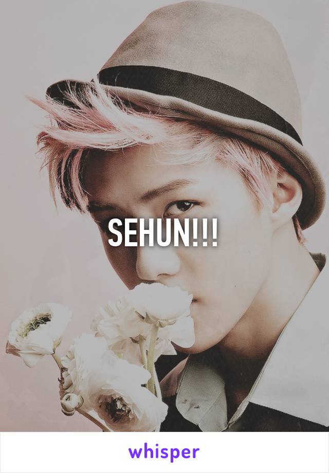 SEHUN!!!