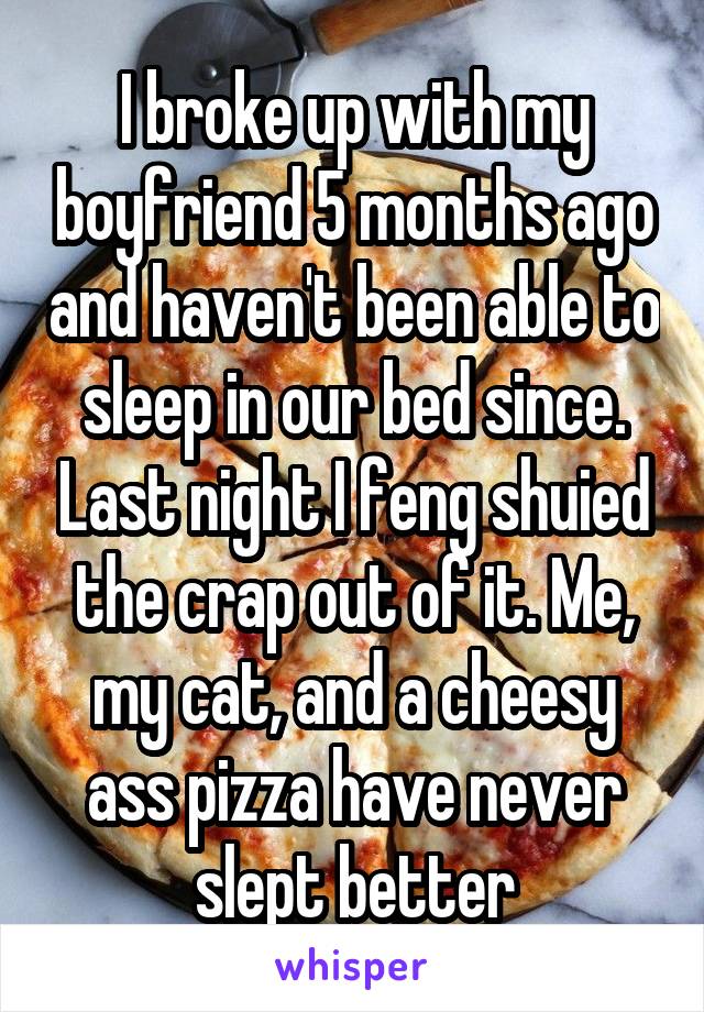 I broke up with my boyfriend 5 months ago and haven't been able to sleep in our bed since. Last night I feng shuied the crap out of it. Me, my cat, and a cheesy ass pizza have never slept better