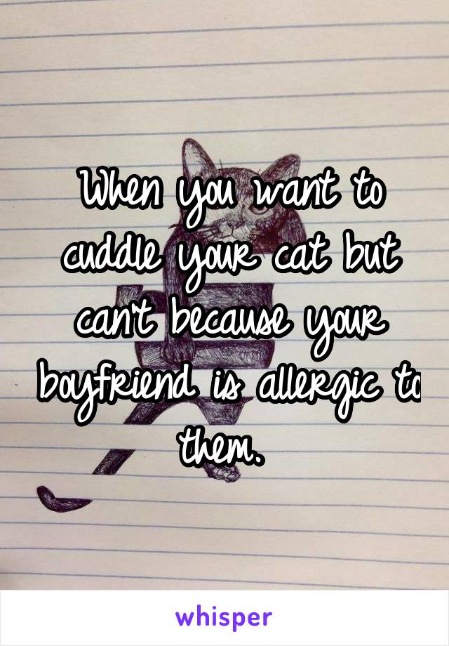 When you want to cuddle your cat but can't because your boyfriend is allergic to them. 