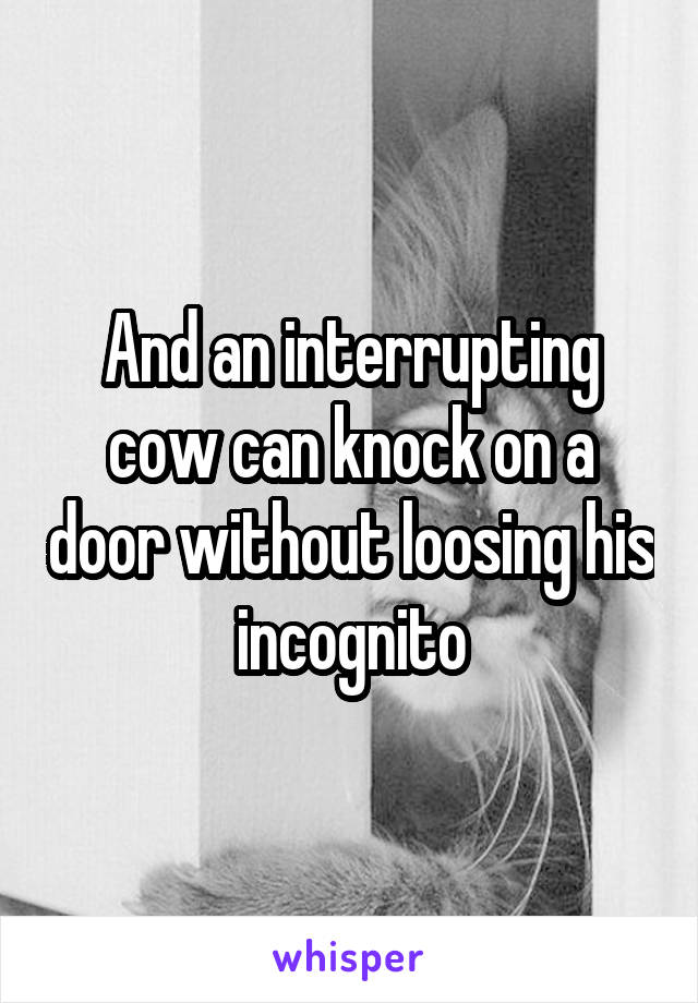 And an interrupting cow can knock on a door without loosing his incognito