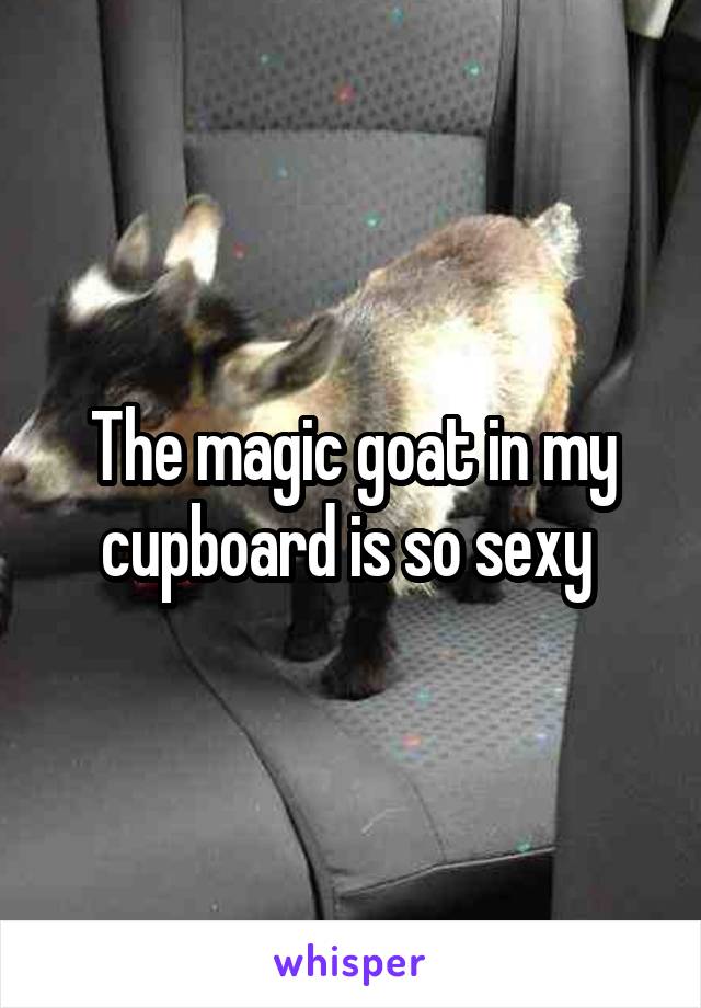 The magic goat in my cupboard is so sexy 