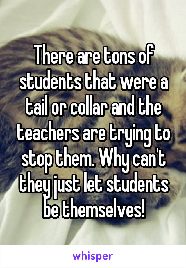 There are tons of students that were a tail or collar and the teachers are trying to stop them. Why can't they just let students be themselves!
