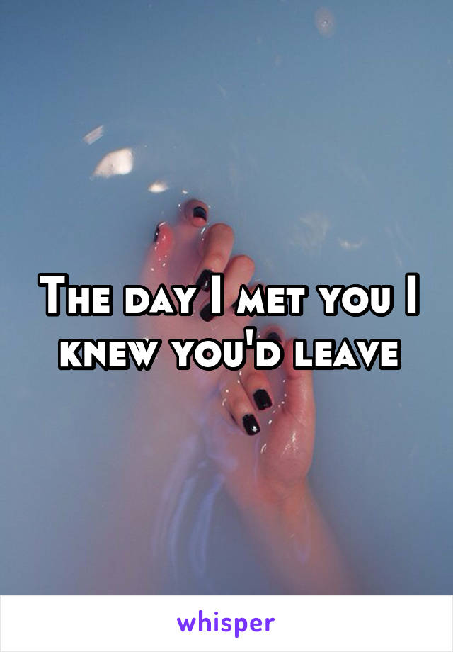 The day I met you I knew you'd leave