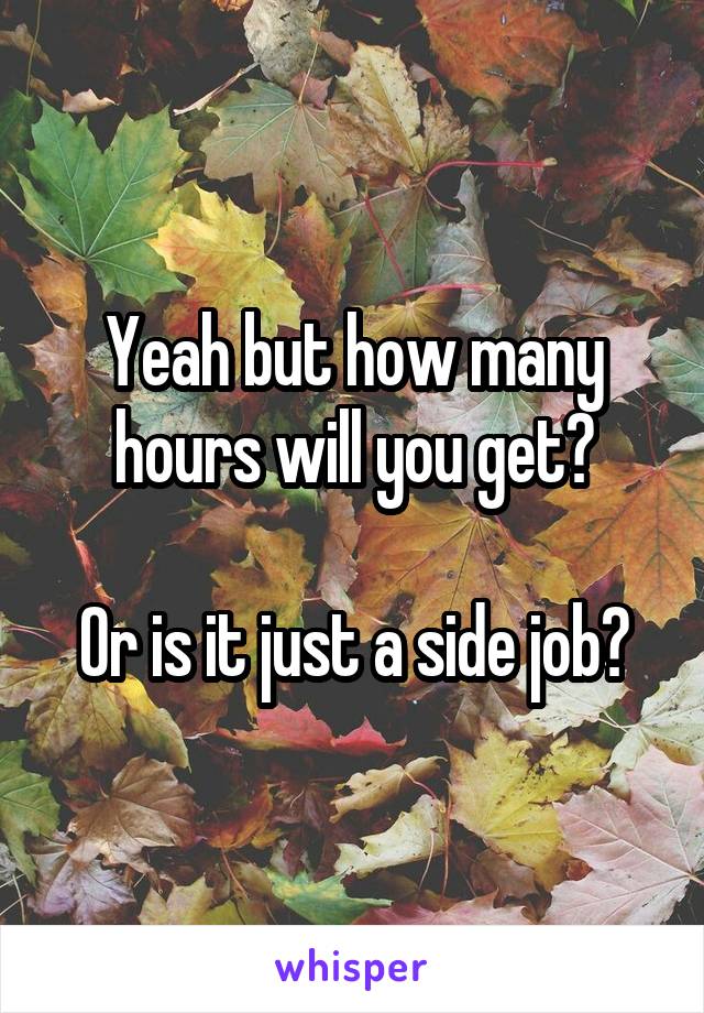 Yeah but how many hours will you get?

Or is it just a side job?