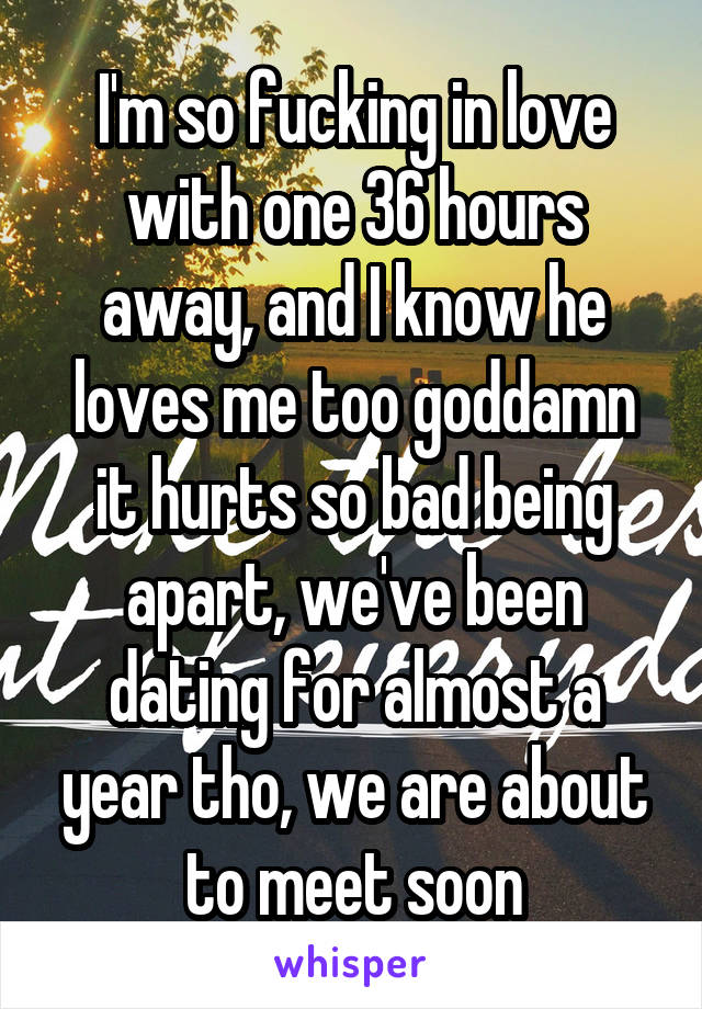 I'm so fucking in love with one 36 hours away, and I know he loves me too goddamn it hurts so bad being apart, we've been dating for almost a year tho, we are about to meet soon