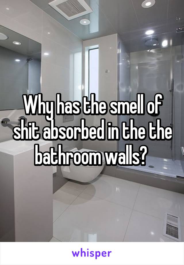 Why has the smell of shit absorbed in the the bathroom walls? 