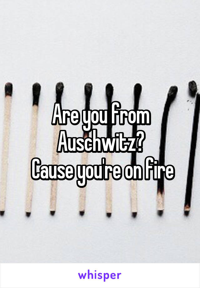 Are you from Auschwitz?
 Cause you're on fire