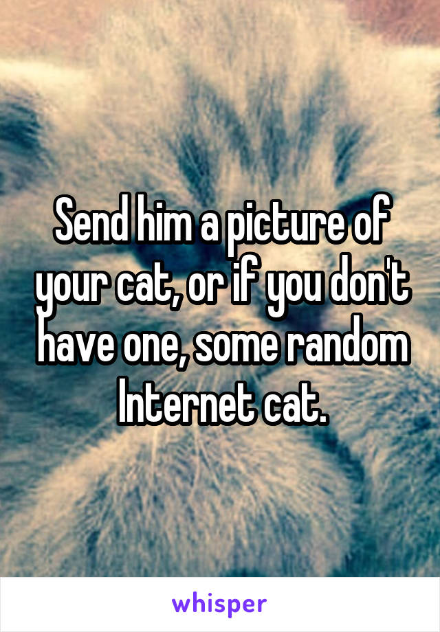 Send him a picture of your cat, or if you don't have one, some random Internet cat.