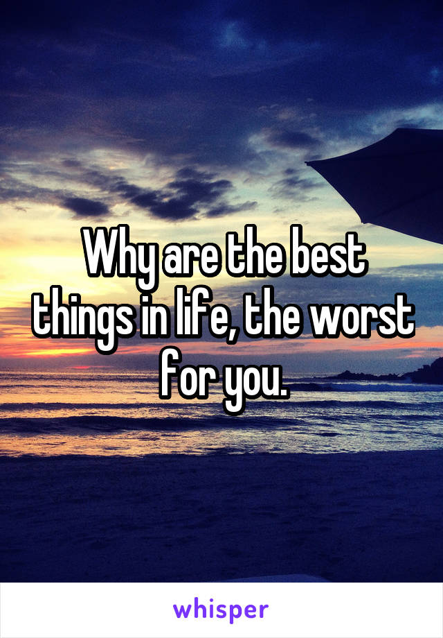 Why are the best things in life, the worst for you.