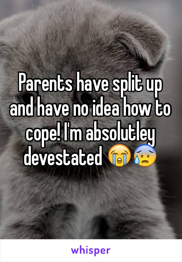 Parents have split up and have no idea how to cope! I'm absolutley devestated 😭😰