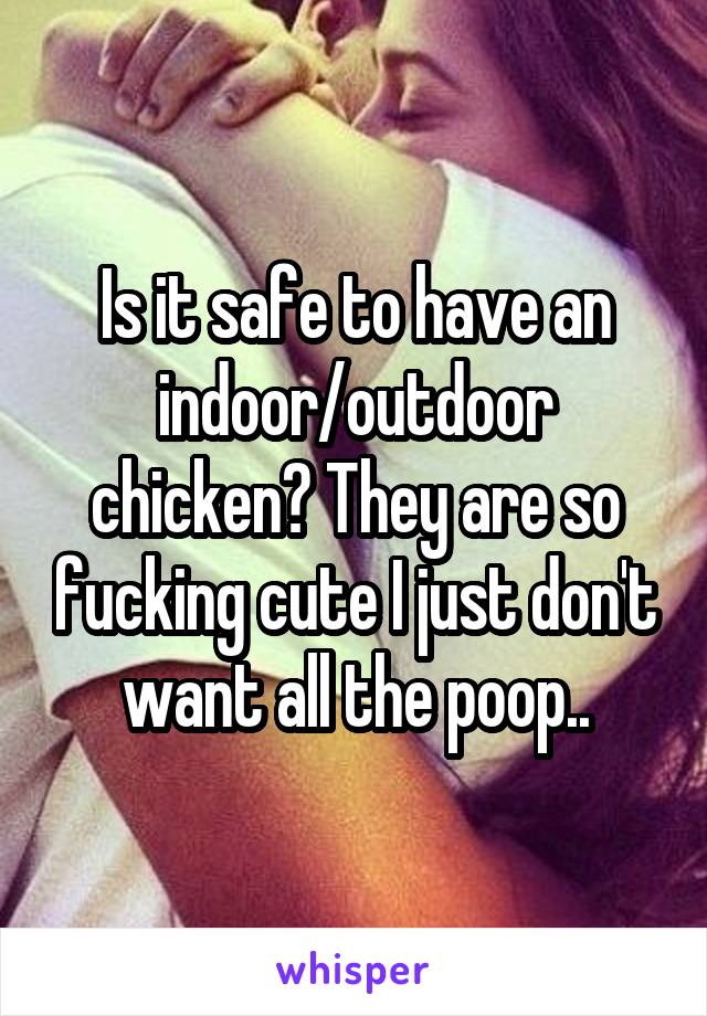 Is it safe to have an indoor/outdoor chicken? They are so fucking cute I just don't want all the poop..