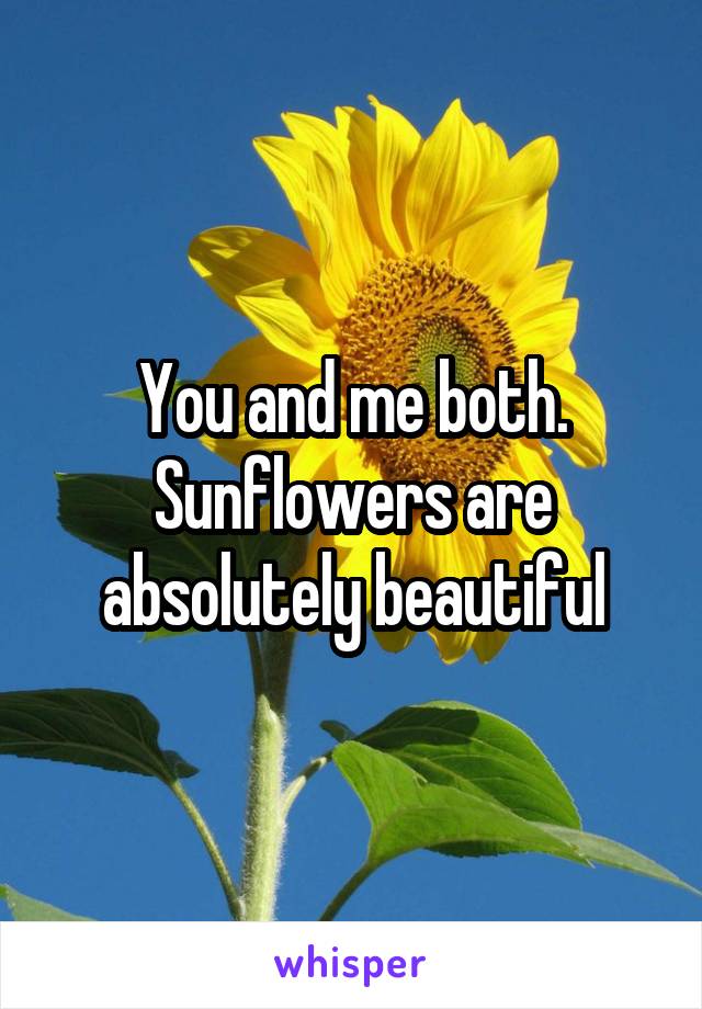 You and me both. Sunflowers are absolutely beautiful