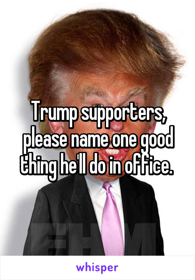 Trump supporters, please name one good thing he'll do in office. 
