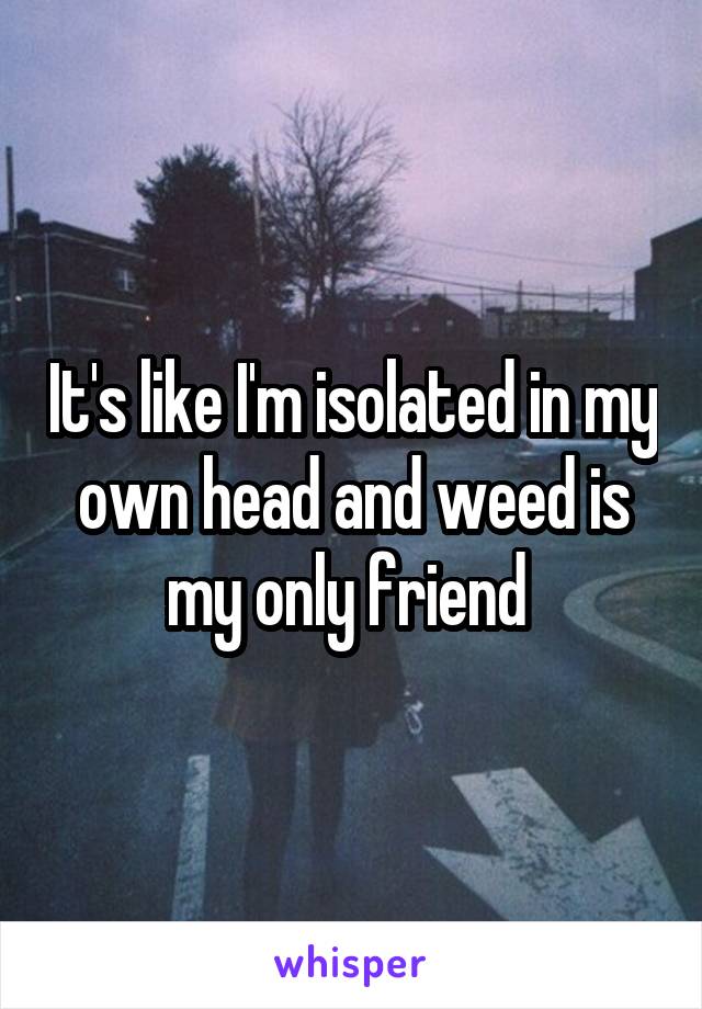 It's like I'm isolated in my own head and weed is my only friend 