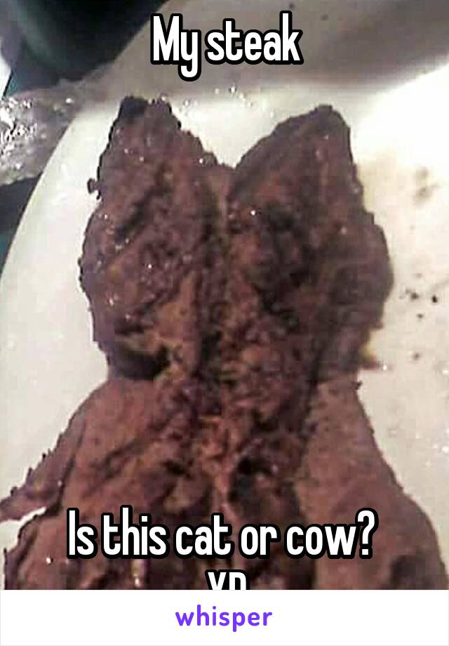 My steak







Is this cat or cow? 
XD