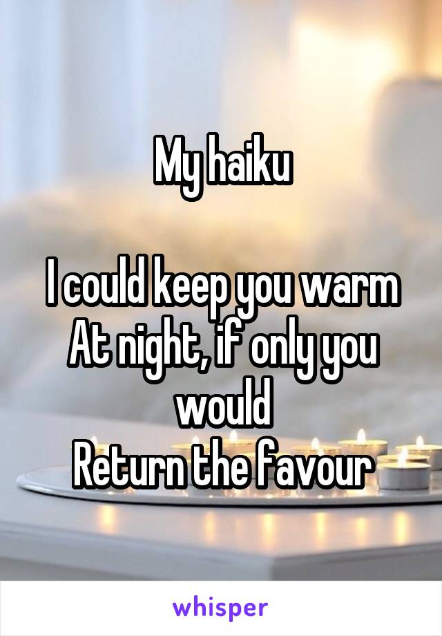 My haiku

I could keep you warm
At night, if only you would
Return the favour