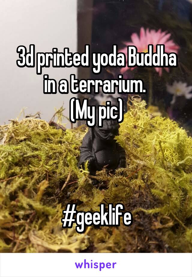3d printed yoda Buddha in a terrarium. 
(My pic)



#geeklife
