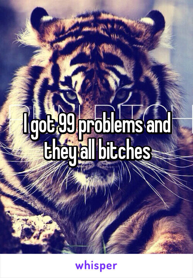 I got 99 problems and they all bitches