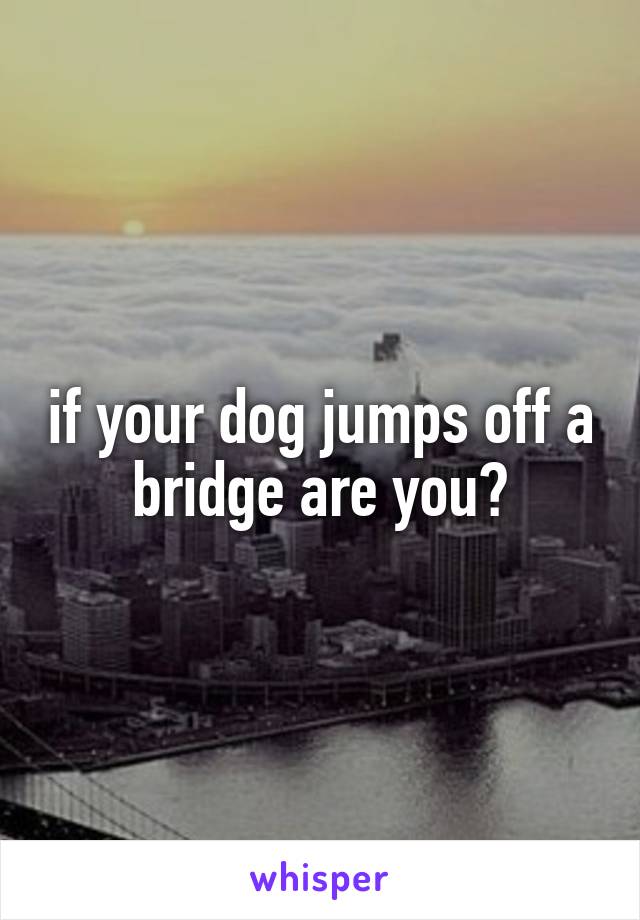 if your dog jumps off a bridge are you?