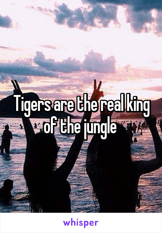 Tigers are the real king of the jungle 