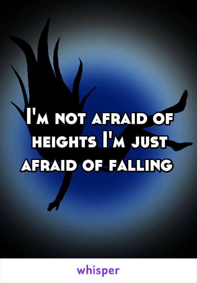 I'm not afraid of heights I'm just afraid of falling 