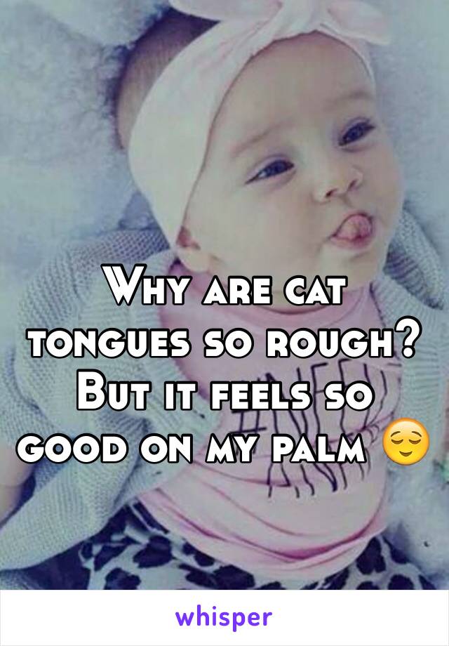 Why are cat tongues so rough? But it feels so good on my palm 😌