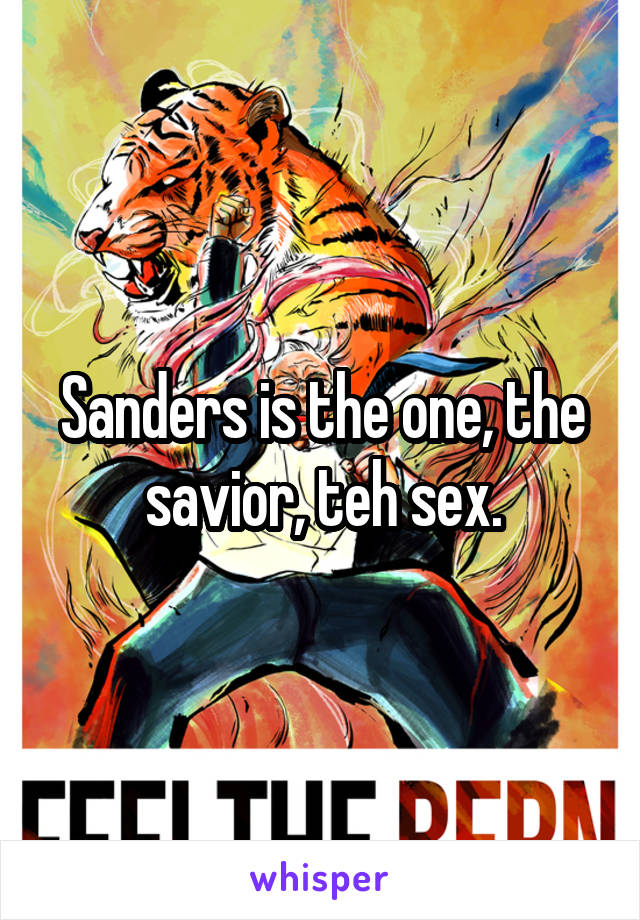 Sanders is the one, the savior, teh sex.