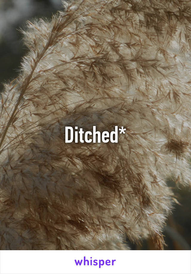 Ditched*