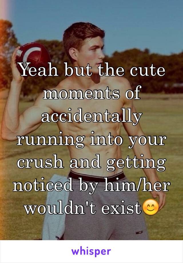 Yeah but the cute moments of accidentally running into your crush and getting noticed by him/her wouldn't exist😊