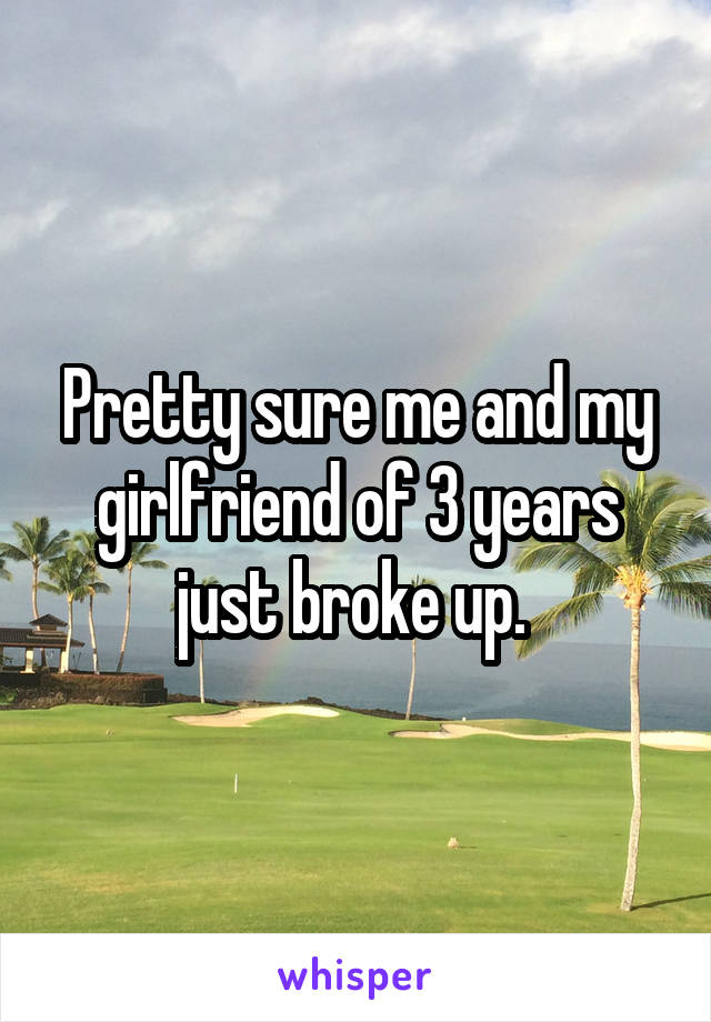 Pretty sure me and my girlfriend of 3 years just broke up. 