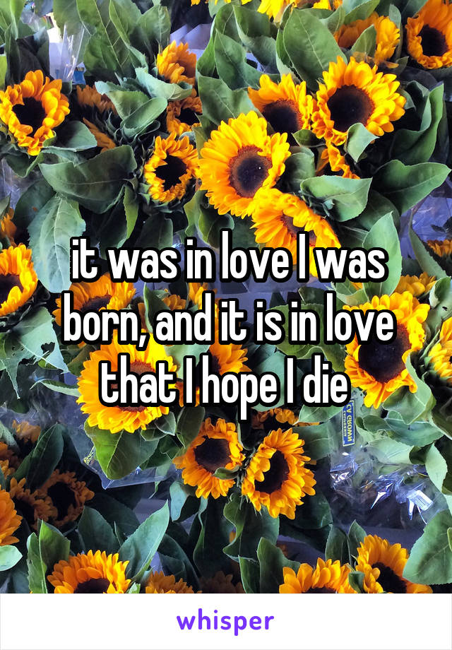 it was in love I was born, and it is in love that I hope I die 
