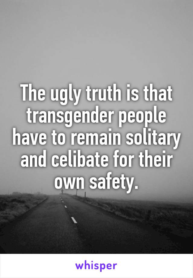 The ugly truth is that transgender people have to remain solitary and celibate for their own safety.