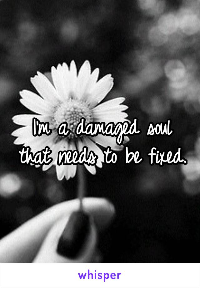 I'm a damaged soul that needs to be fixed.