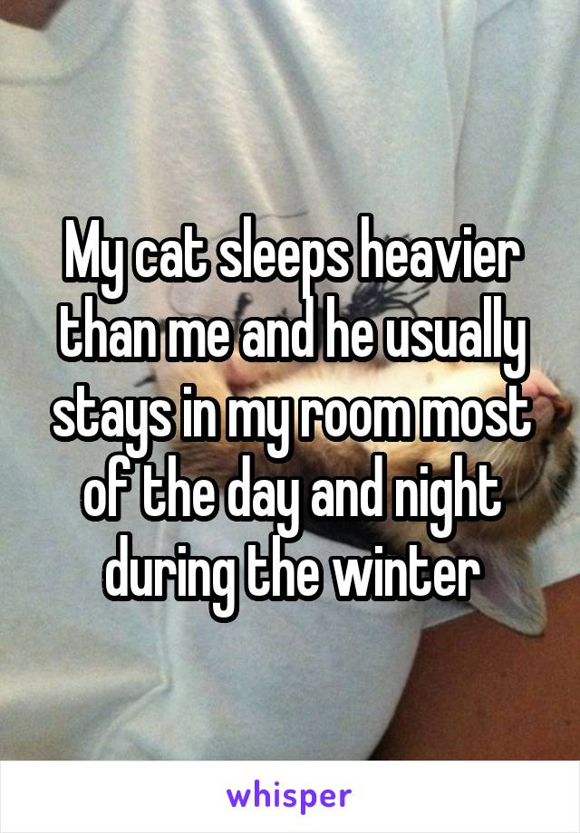 My cat sleeps heavier than me and he usually stays in my room most of the day and night during the winter