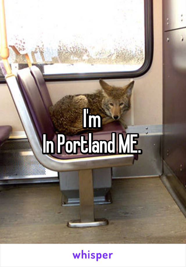 I'm 
In Portland ME. 