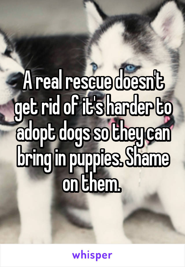 A real rescue doesn't get rid of it's harder to adopt dogs so they can bring in puppies. Shame on them. 