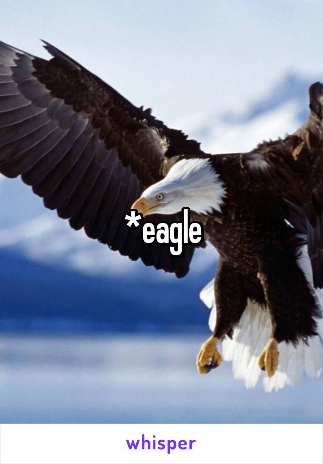 *eagle