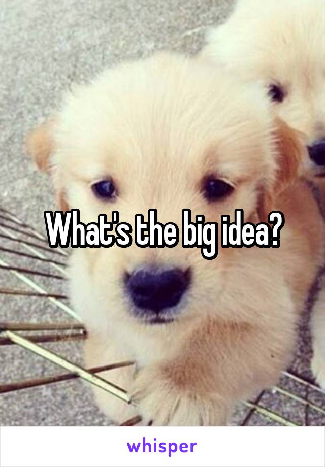 What's the big idea?