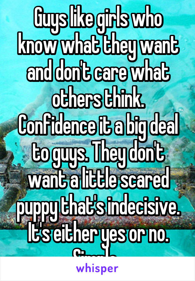 Guys like girls who know what they want and don't care what others think. Confidence it a big deal to guys. They don't want a little scared puppy that's indecisive. It's either yes or no. Simple. 