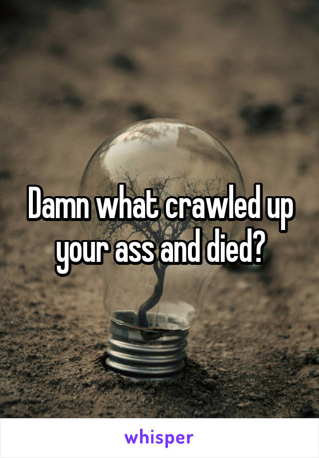 Damn what crawled up your ass and died?