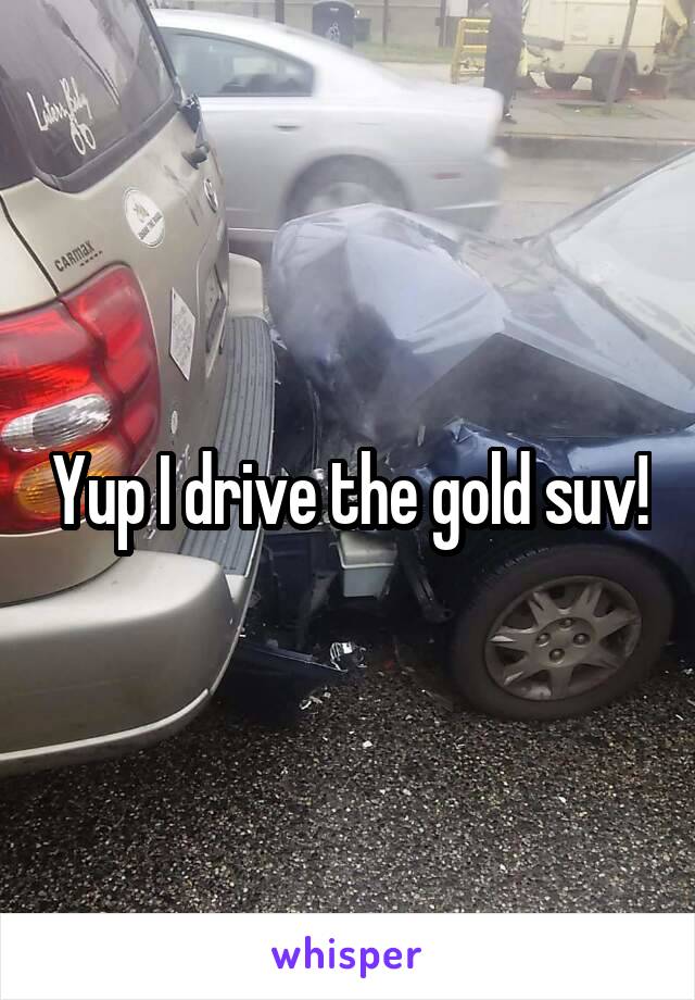 Yup I drive the gold suv!