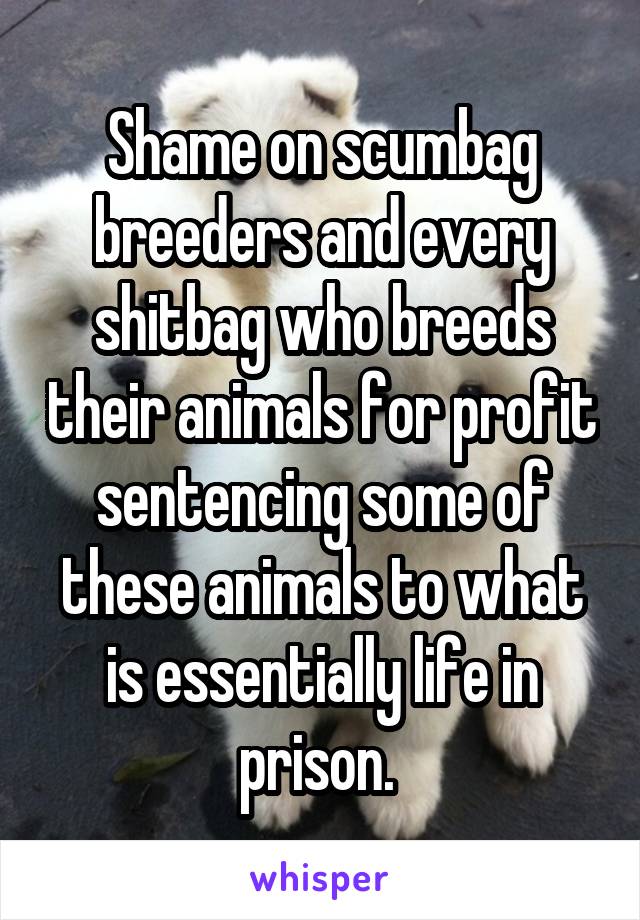 Shame on scumbag breeders and every shitbag who breeds their animals for profit sentencing some of these animals to what is essentially life in prison. 