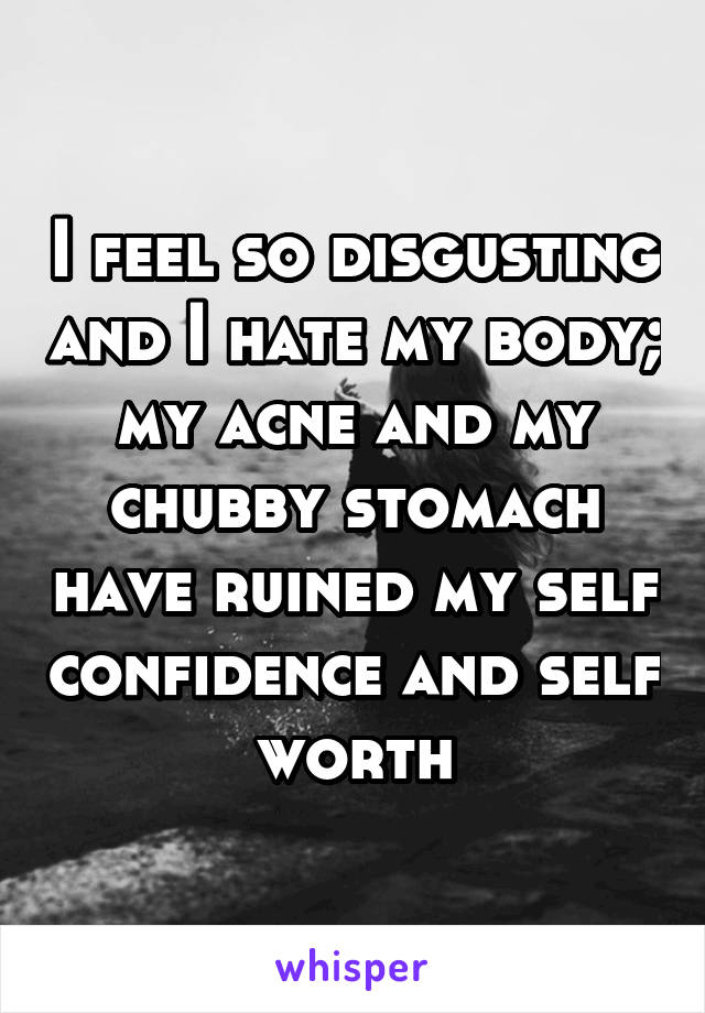 I feel so disgusting and I hate my body; my acne and my chubby stomach have ruined my self confidence and self worth