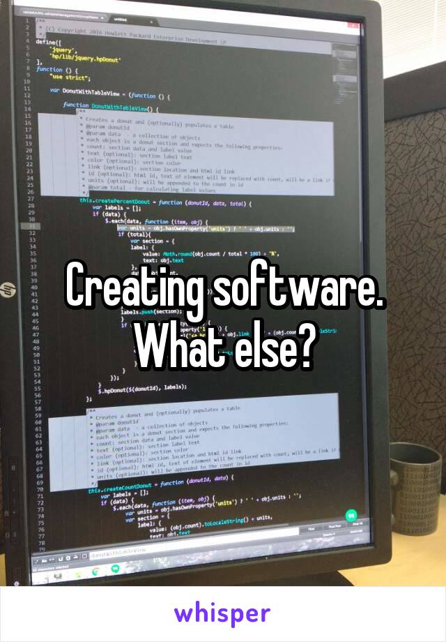 Creating software. What else?