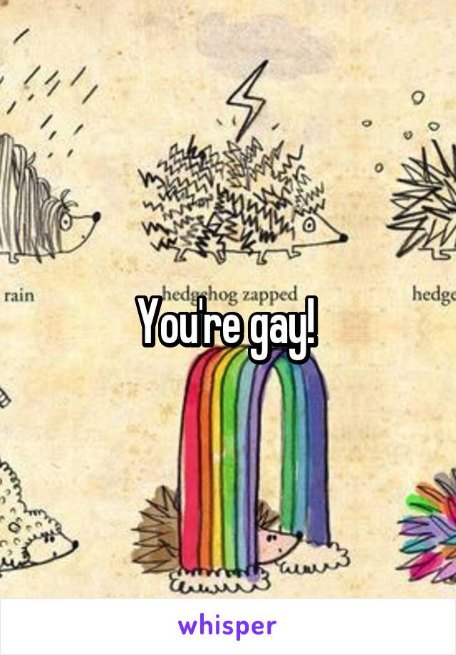 You're gay! 